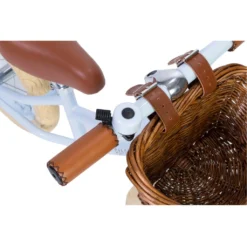 Banwood First Go Balance Bike - Sky -Kids Toy Shop BW F1G SKY 5