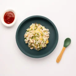 Eco Rascals Silicone Plate With Removable Divider - Teal -Kids Toy Shop Ecosiliconeplaterecipes 31