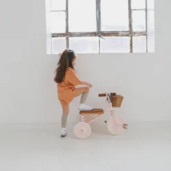 Banwood Trike - Pink -Kids Toy Shop IMG 3955