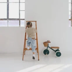 Banwood Trike - Green -Kids Toy Shop IMG 4432