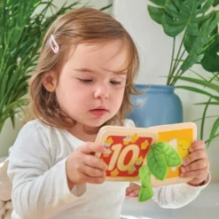 Le Toy Van Counting Book -Kids Toy Shop Le Toy Van Counting Book Le Toy Van 1598482074