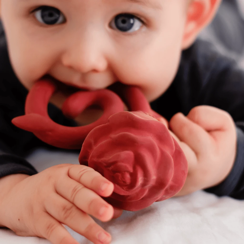 Natruba Teether - Rose 2 Natruba Teether - Rose - Image 2