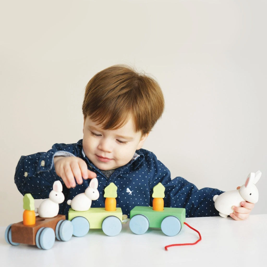 Le Toy Van Bunny Train 2 Le Toy Van Bunny Train - Image 2