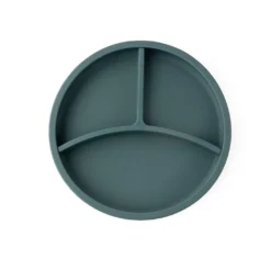 Eco Rascals Silicone Plate With Removable Divider - Teal
